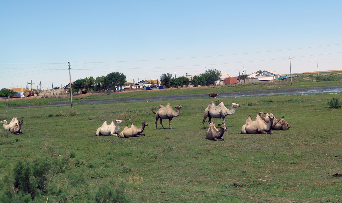 Atyrau, 61 miles East of Astrakhan
