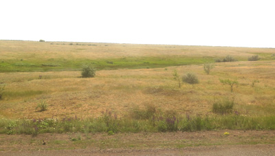 25 miles East of Uralsk, Kazakhstan 2014