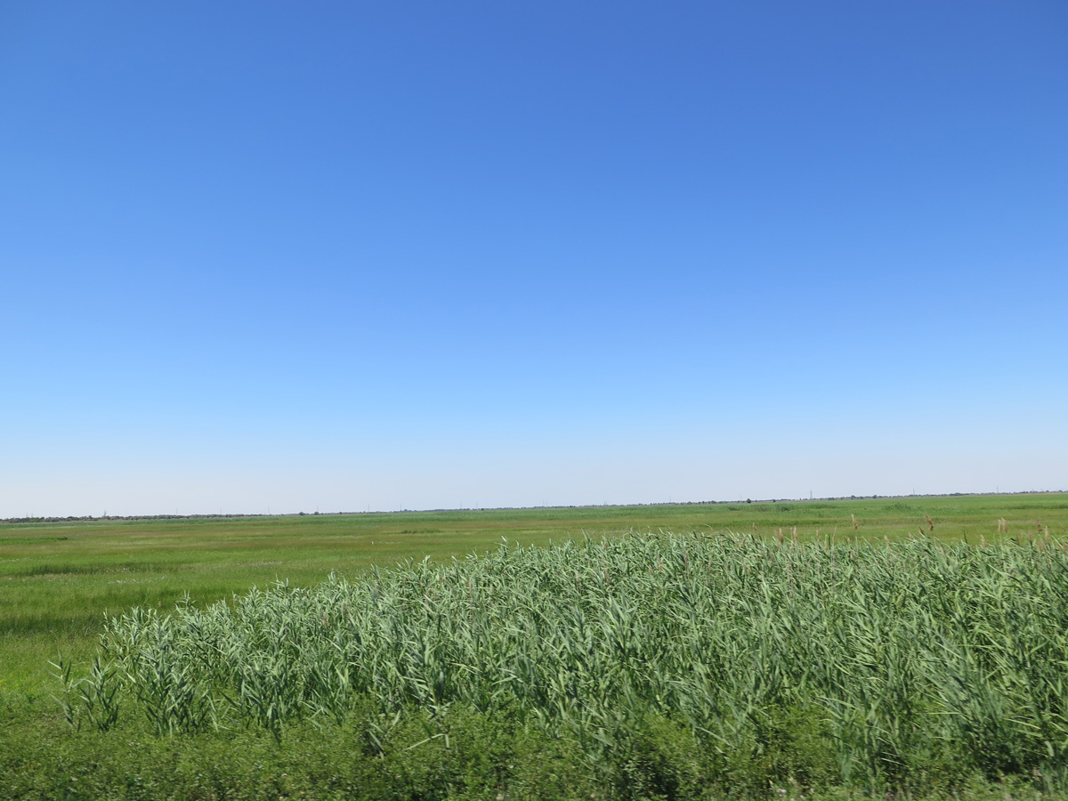 Astrakhan, 8 miles NE of Astrakhan