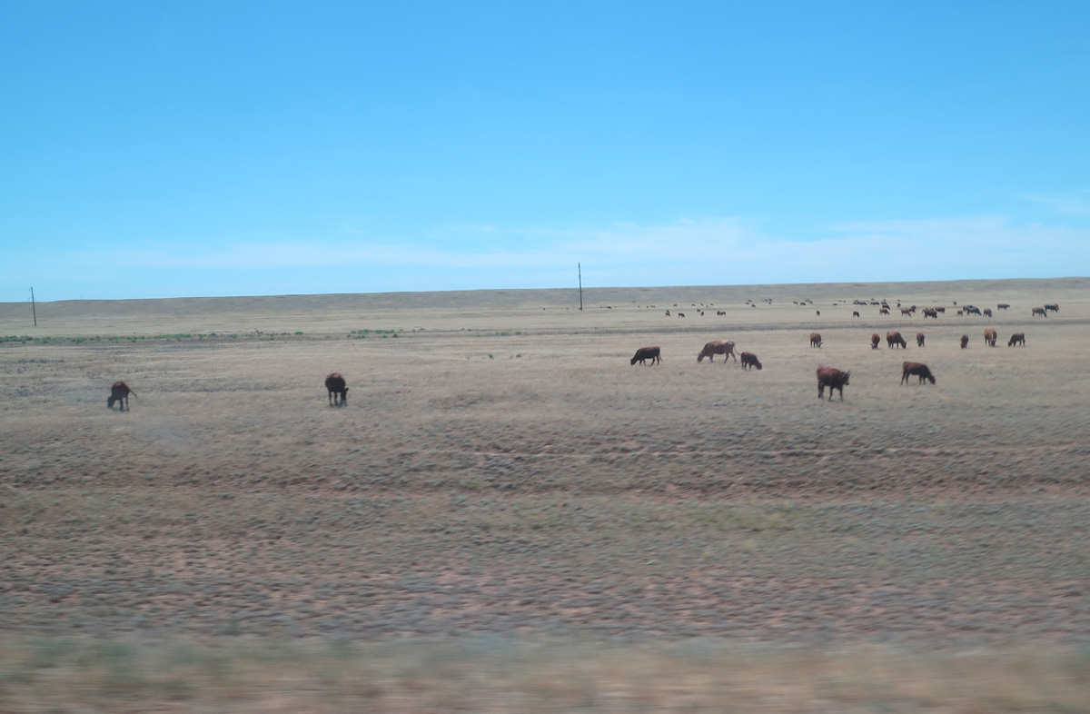 Astrakhan, 83 miles West of Astrakhan