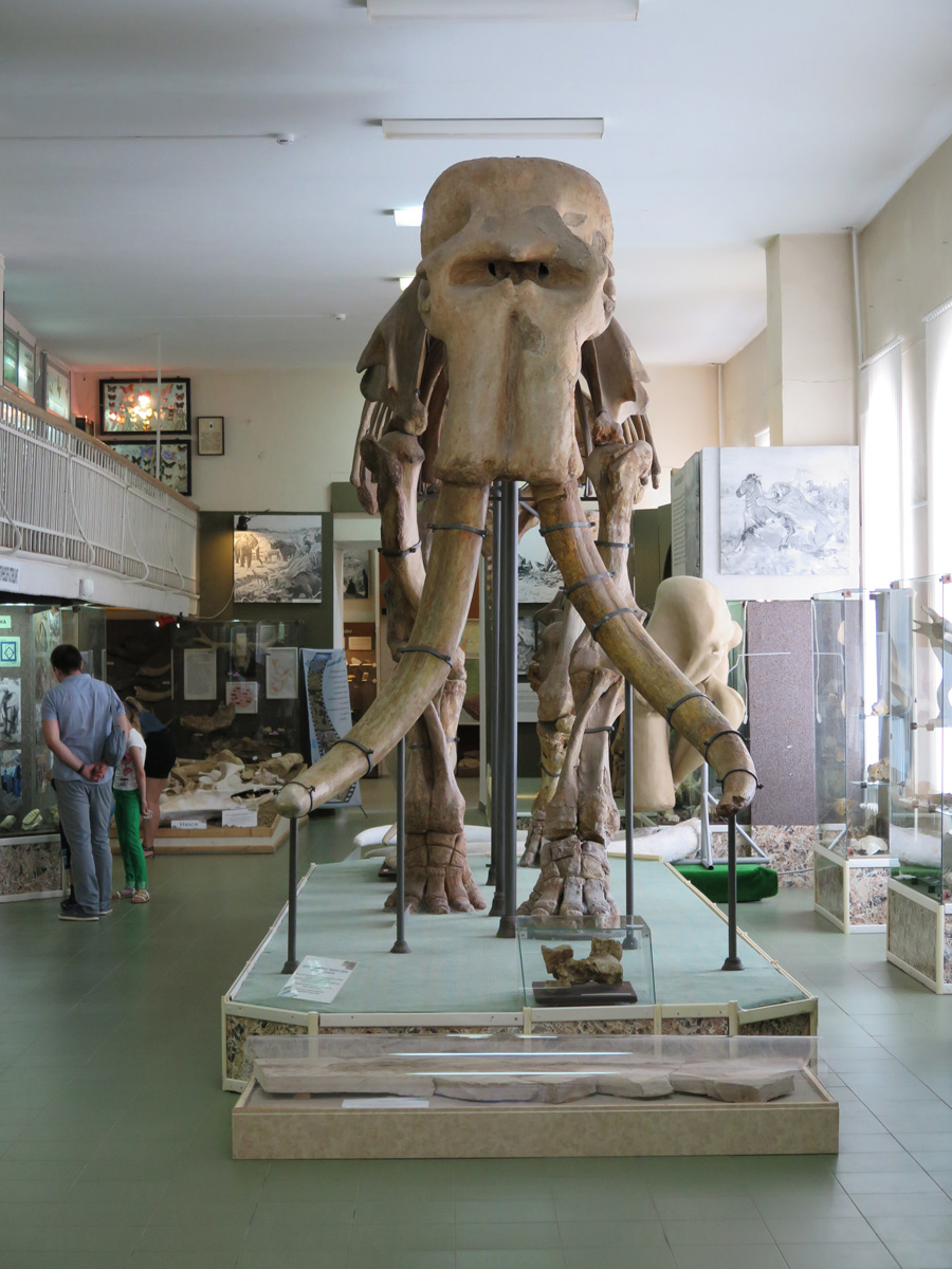 Stavropol, City Museum