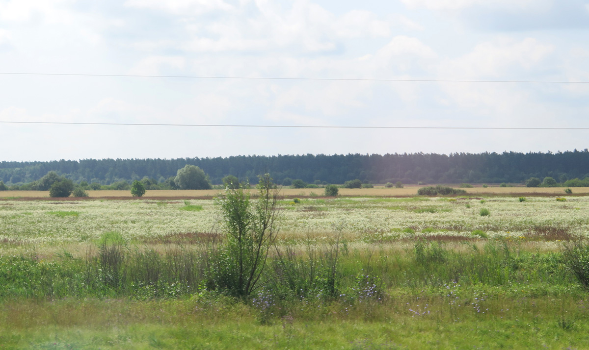 Lviv, 31 miles East of Lviv