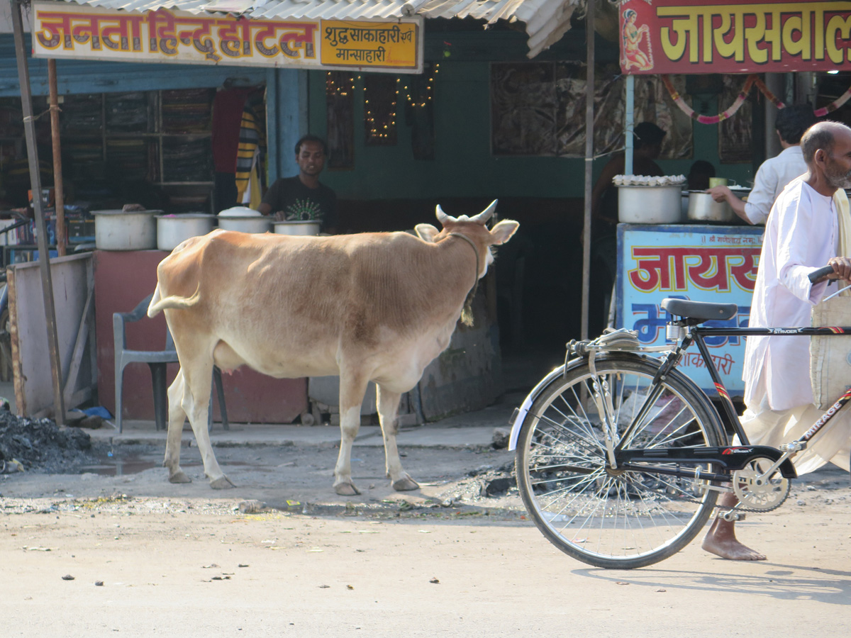Gorakhpur, Gorakhpur