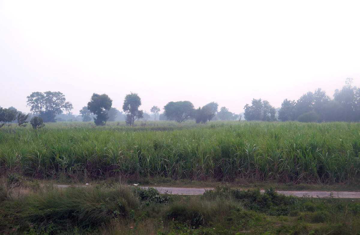 Gorakhpur