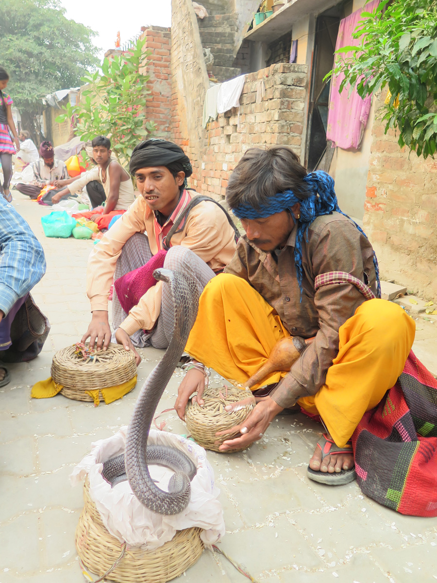 Lucknow, Snake charmers!
