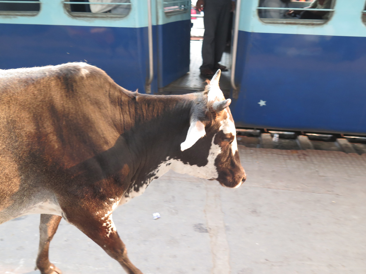 Lucknow, Kanpur station platform