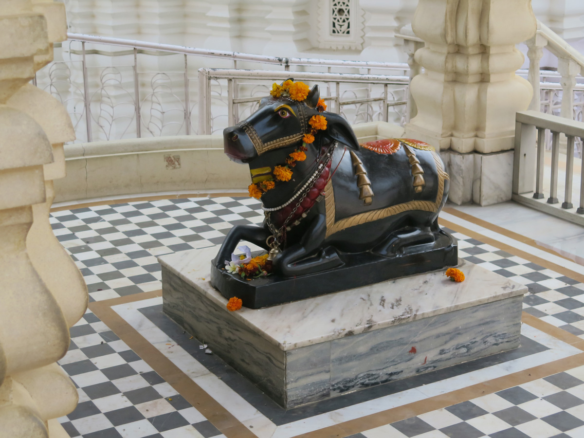 Delhi, Chhatarpur Temple area