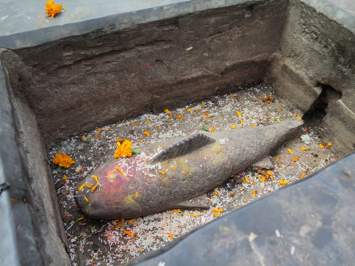 Around Kathmandu, Fish shrine