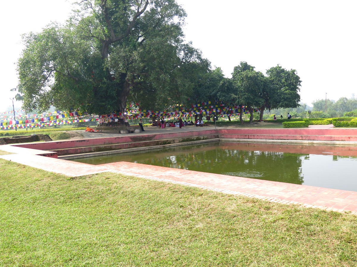 Lumbini, Sacred pool and tree