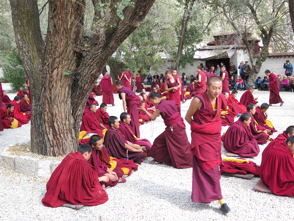 Sera Monastery, Sera Monastery: debating monks