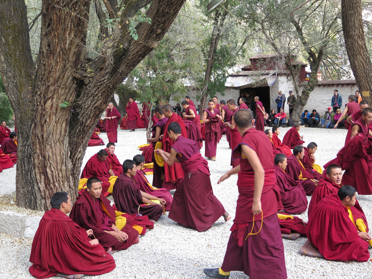 Sera Monastery, Sera Monastery: debating monks