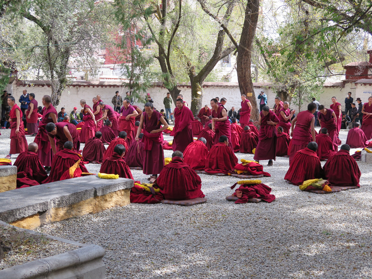 Sera Monastery, Sera Monastery: debating monks