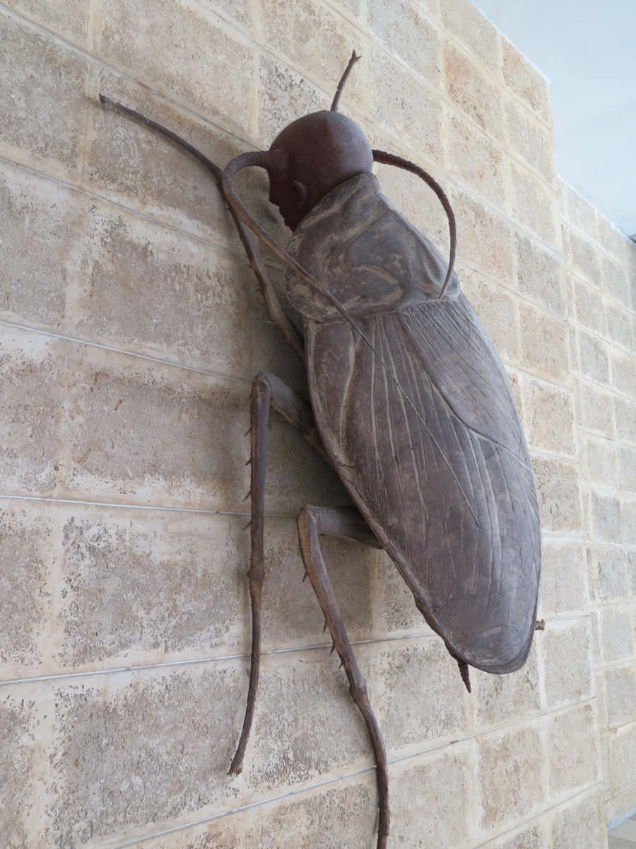 Around Havana, Museo de Bellas Artes