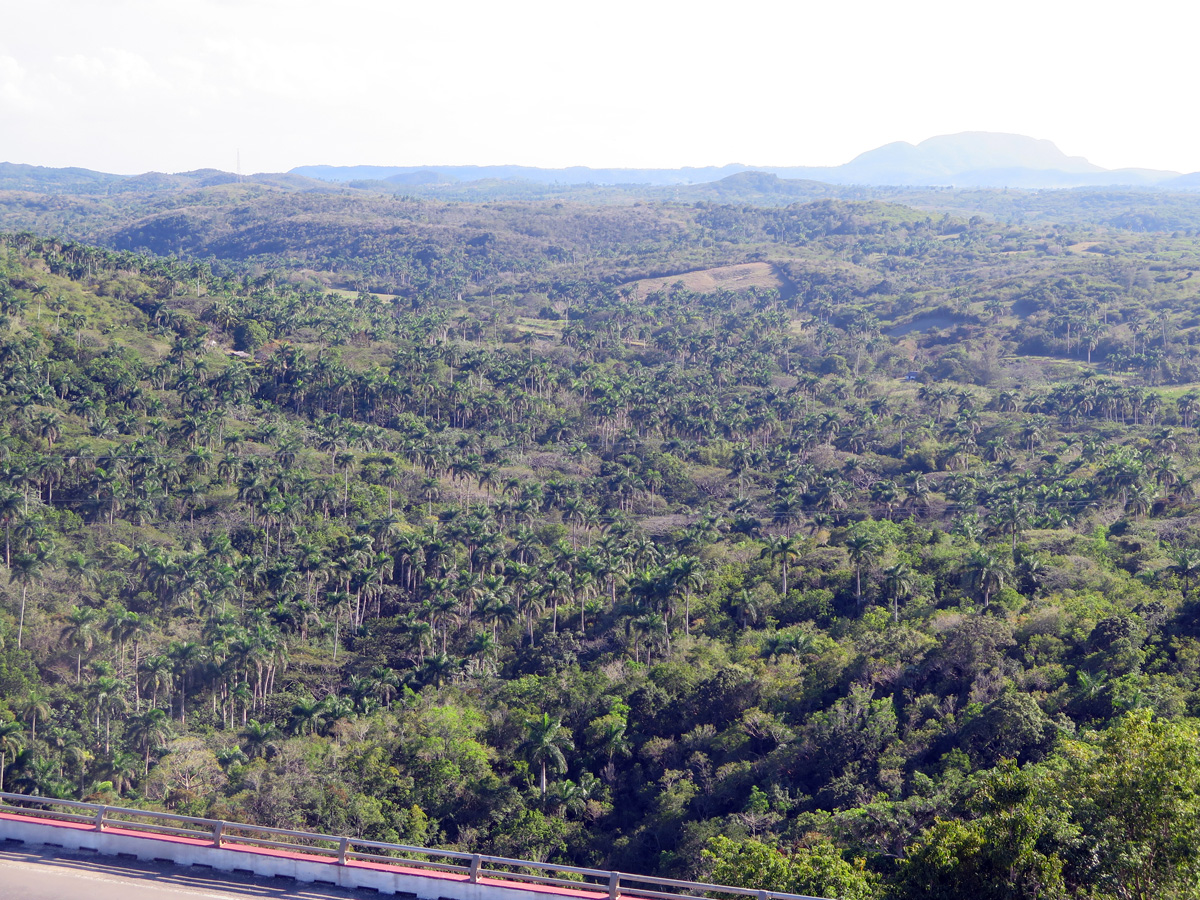 Matanzas, 9 miles NW of Matanzas