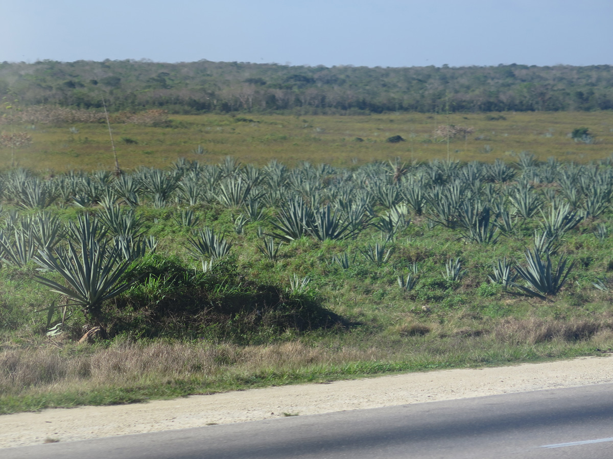 Matanzas, 10 miles East of Matanzas