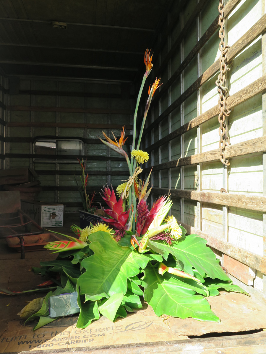 Matanzas, Passing flower display