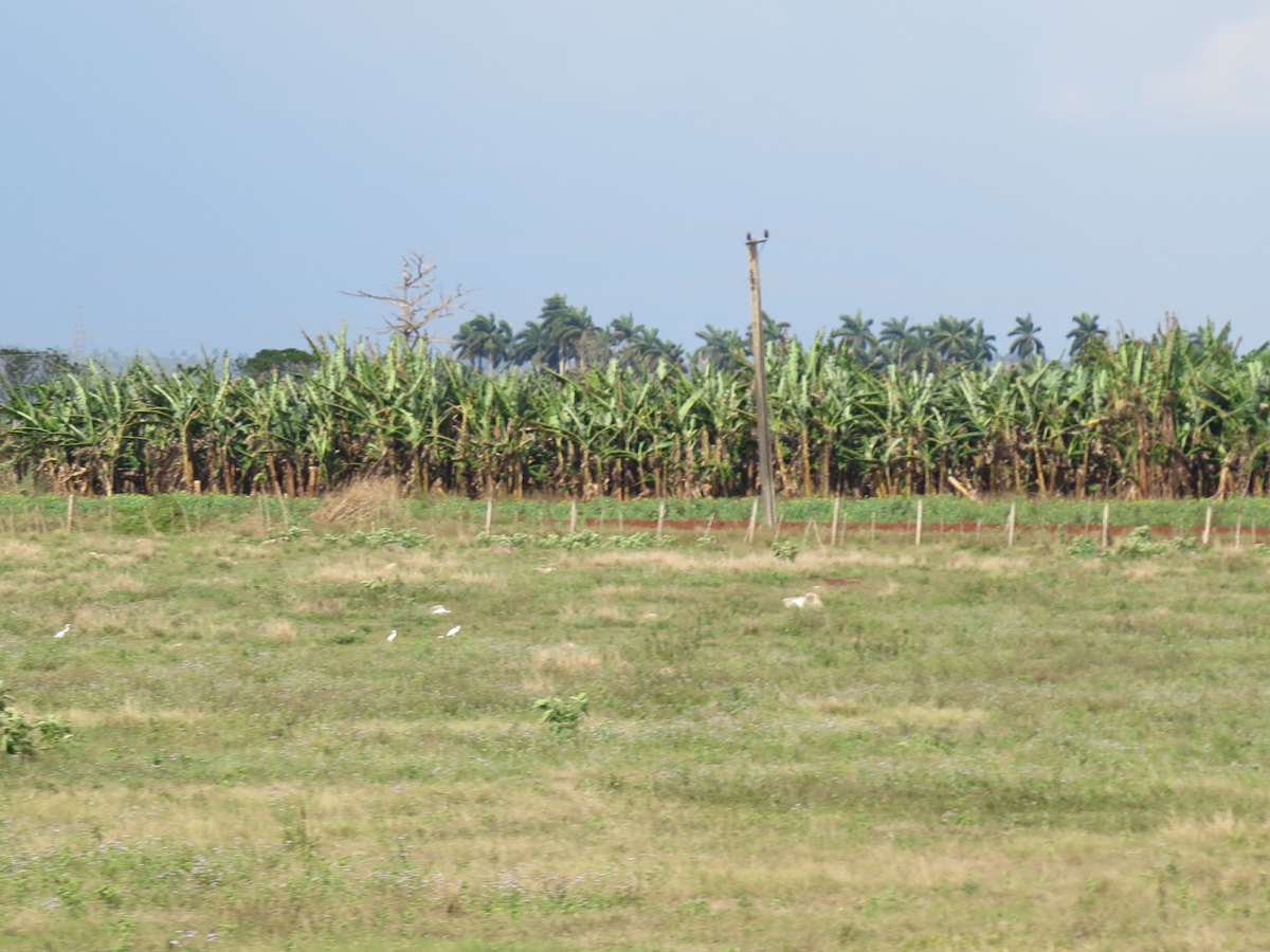 Matanzas, 12 miles SE of Matanzas