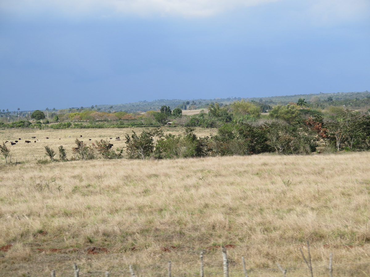 Matanzas, 13 miles SE of Matanzas