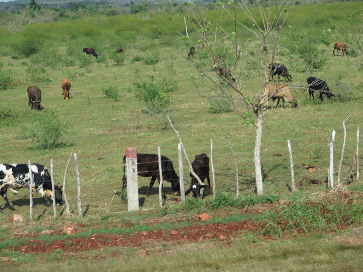Matanzas, 18 miles SE of Matanzas