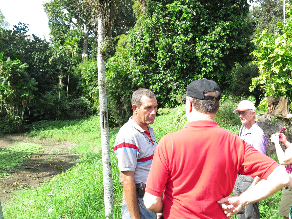 Cienfuegos, Botanic Garden guide