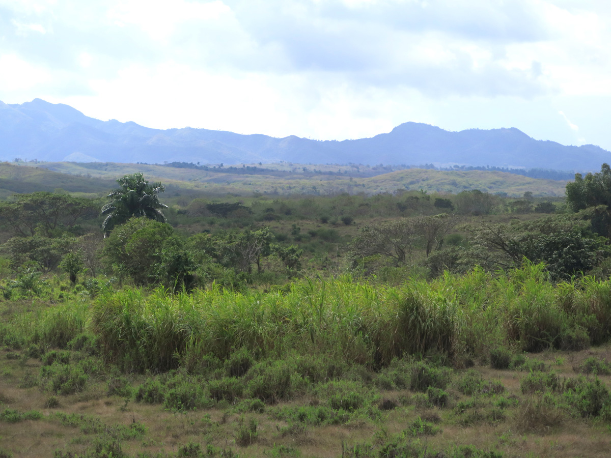 Cienfuegos, 12 miles SE of Cienfuegos