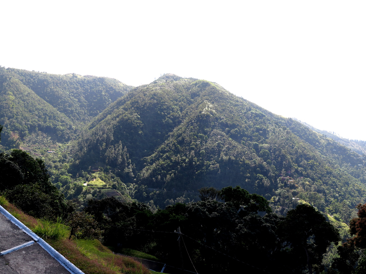 Blue Mountain Coffee Tour, The Blue Mountains