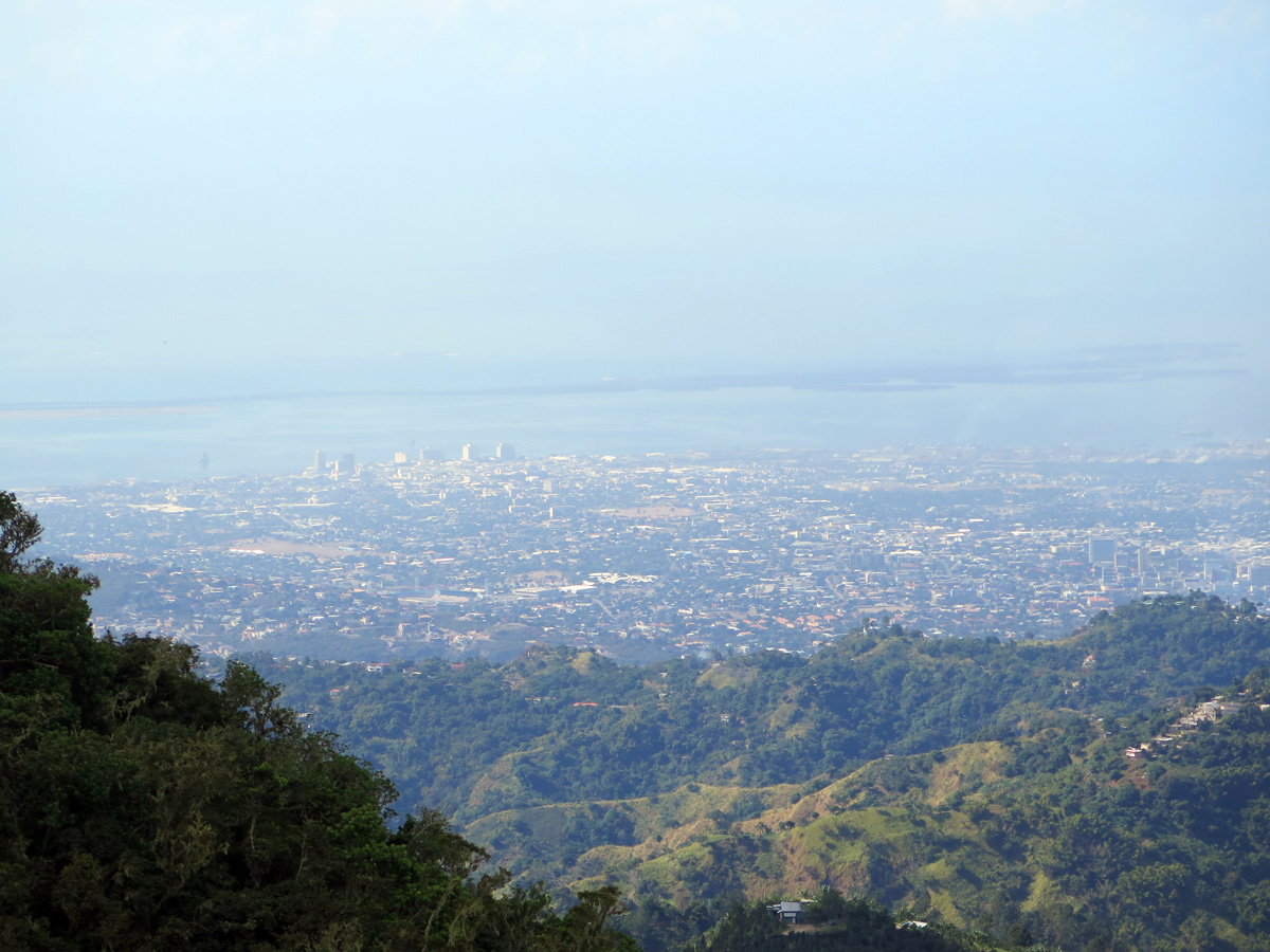 Blue Mountain Coffee Tour, Kingston view