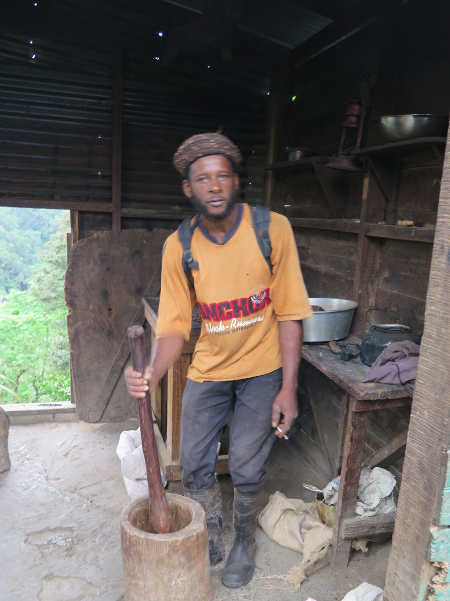 Blue Mountain Coffee Tour, Rastafarian Coffee Co.