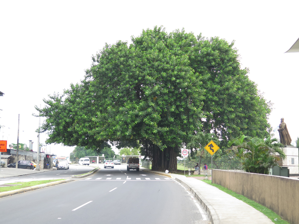 Panama Viejo
