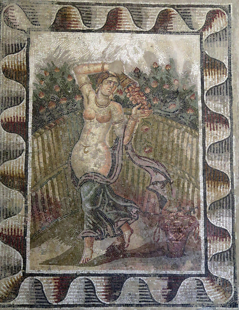 Carthage Museum