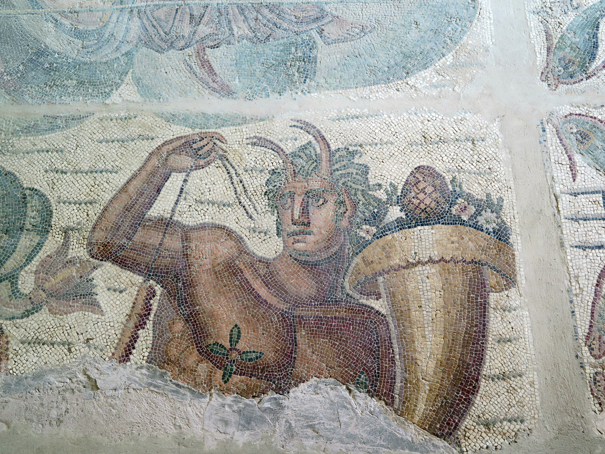 Carthage Museum