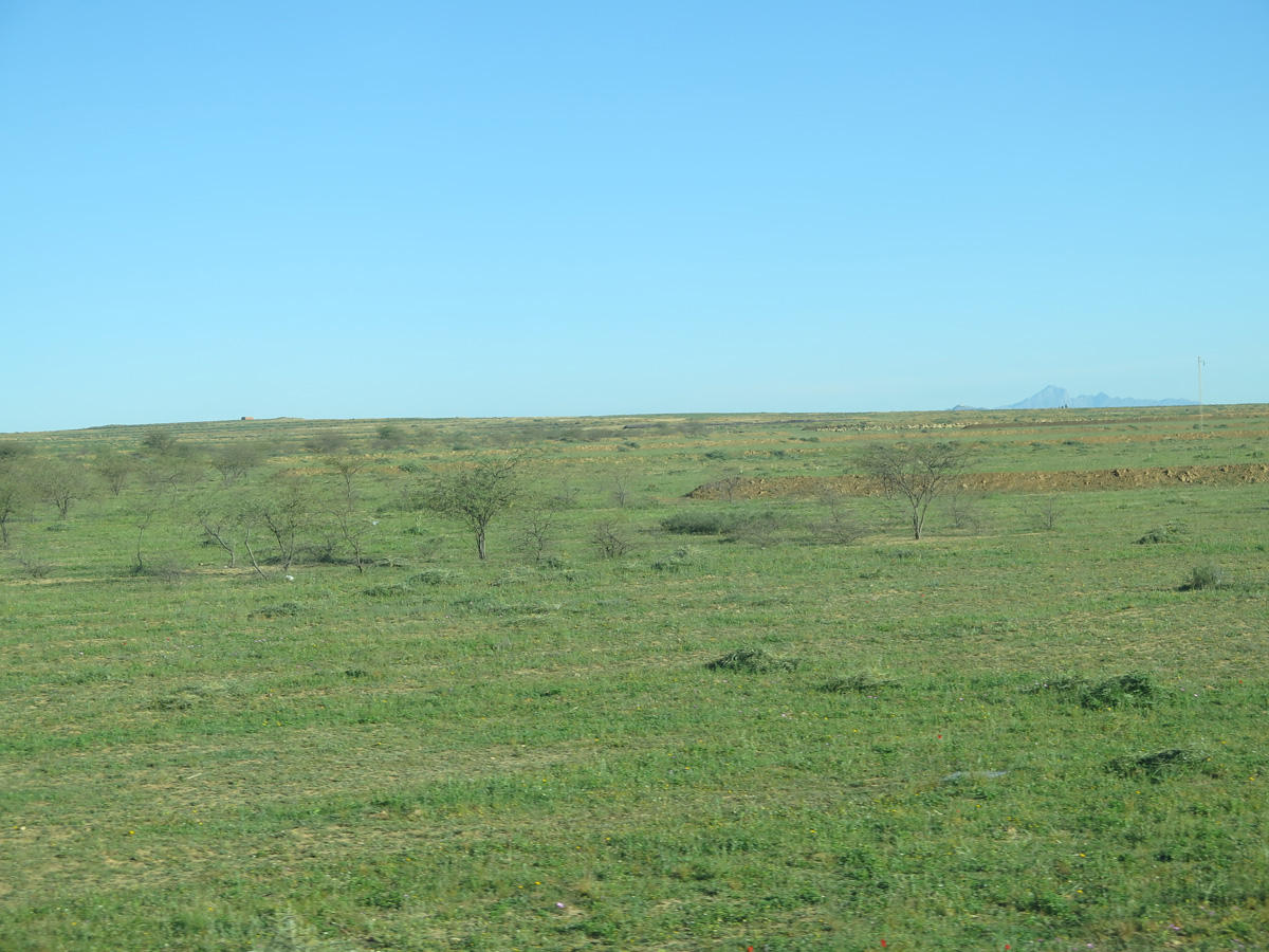 Kairouan, 17 miles NE of Kairouan