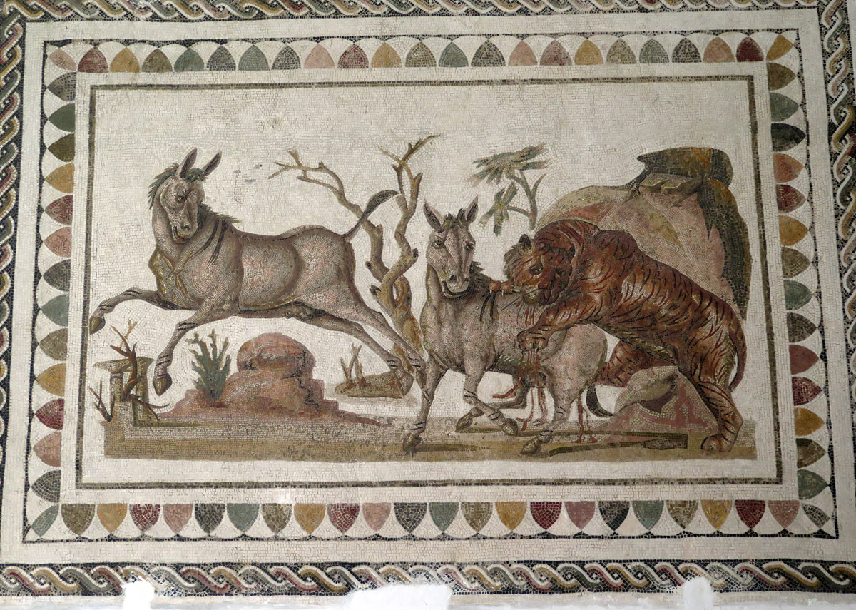 El Jem Museum, Tiger attacking an onager