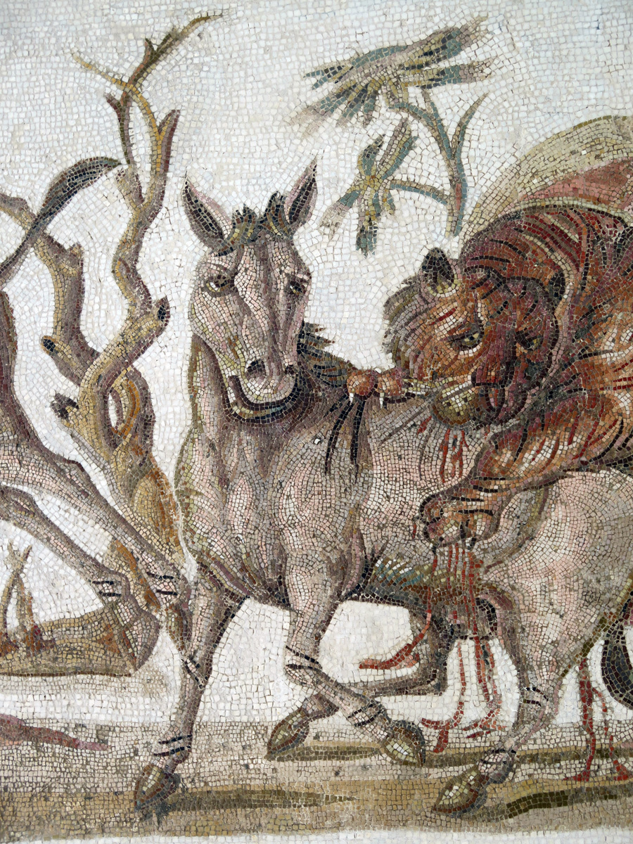 El Jem Museum, Tiger attacking an onager