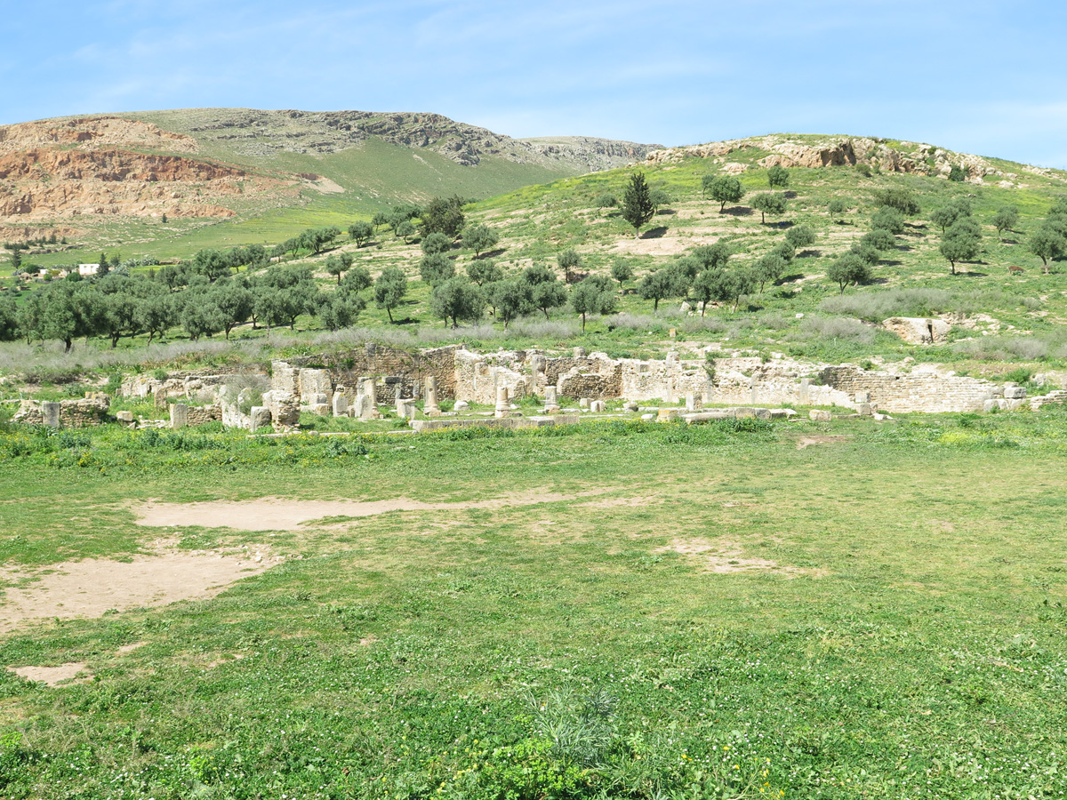 Bulla Regia, View from Bulla Regia