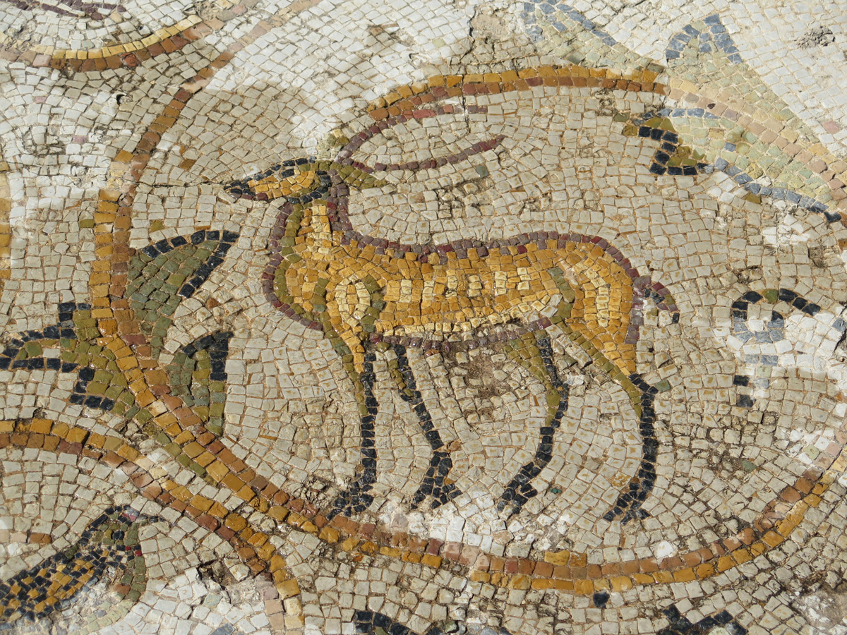 Bulla Regia, House of the New Hunt