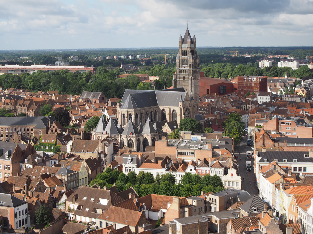 Bruges, View from Belfort: Sint-Salvator Cathedral