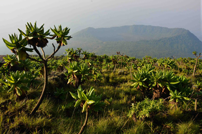 Photo courtesy of Adriena Vyzulov, Nyiragongo, DR Congo - 2015