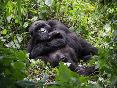 Bukima, DR Congo - 2015