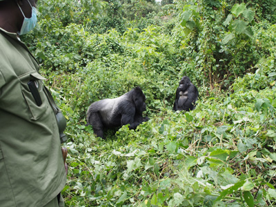Bukima, DR Congo - 2015