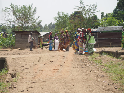 3 miles NW of Bukima, DR Congo - 2015