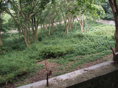 Mikeno Lodge: Gorilla Sanctuary, Bukima, DR Congo - 2015