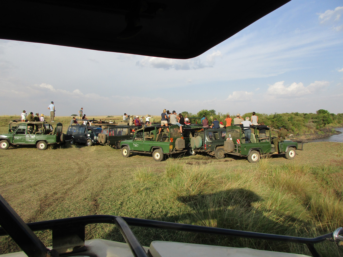 A zebra, a leopard and a crocodile, The kill attracted a large audience.