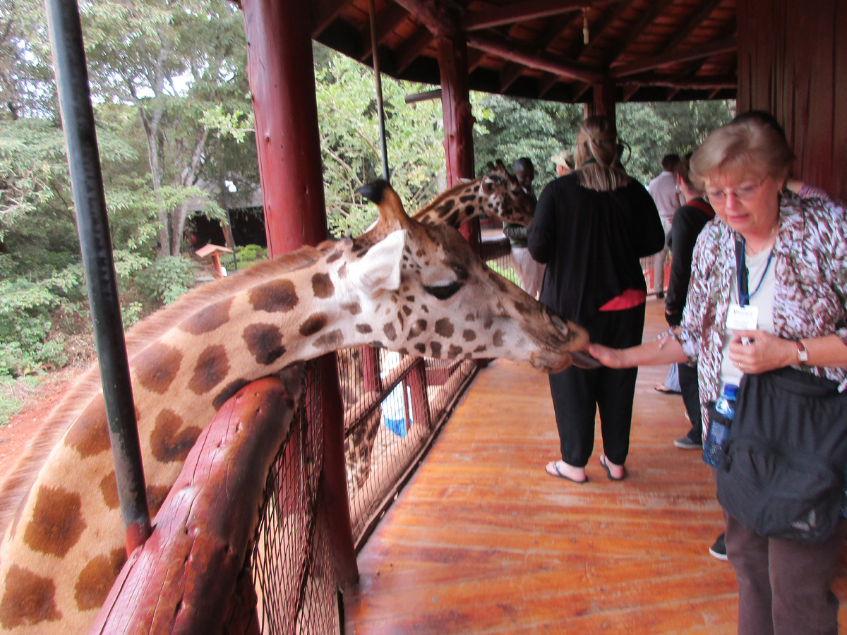 Giraffe Center