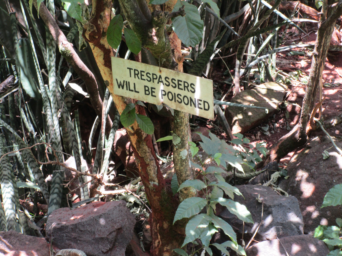 National Museum of Kenya, Warning in Snake Park garden