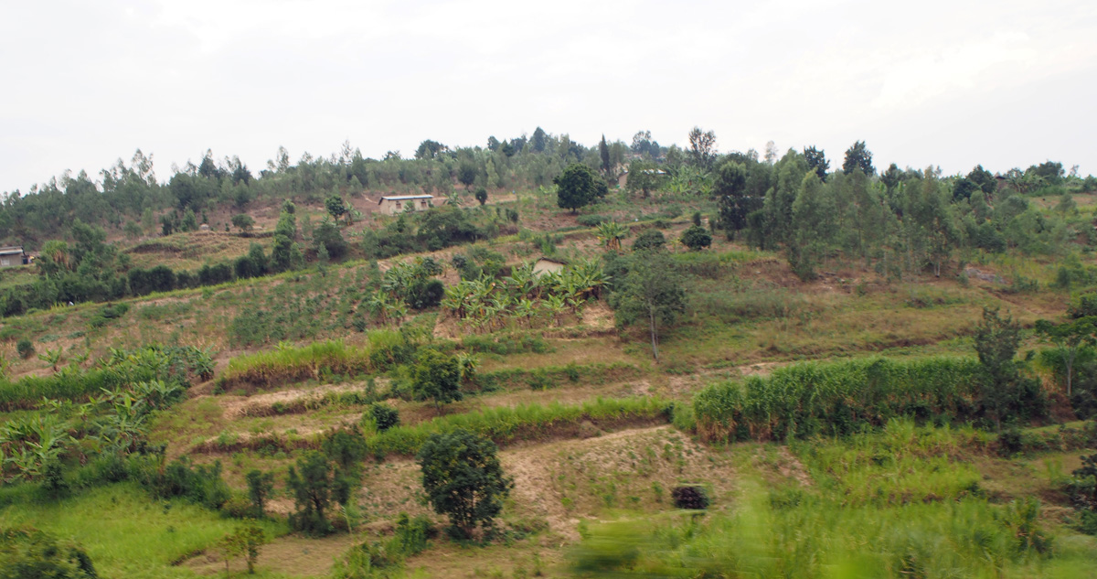Butare, 17 miles SW of Kigali