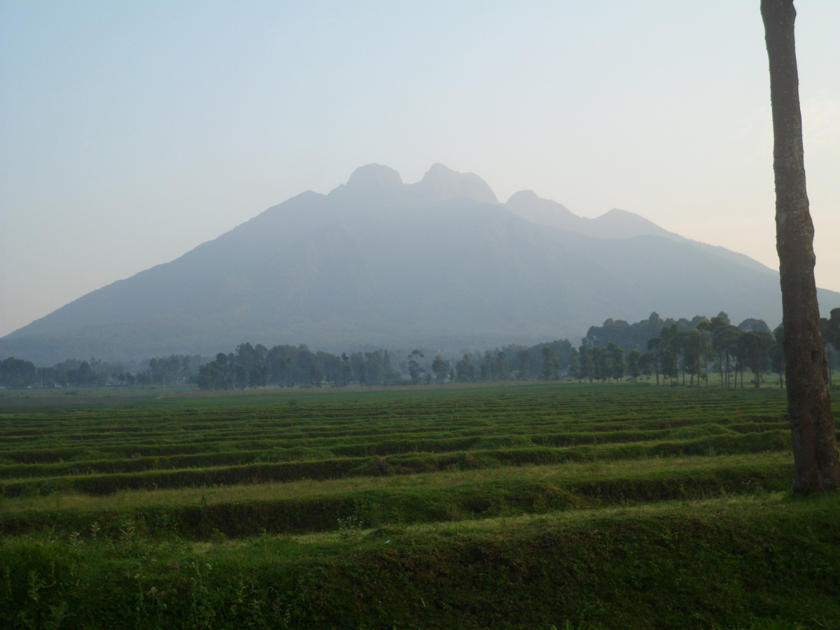 Ruhengeri, 3 miles East of Volcaneos Park