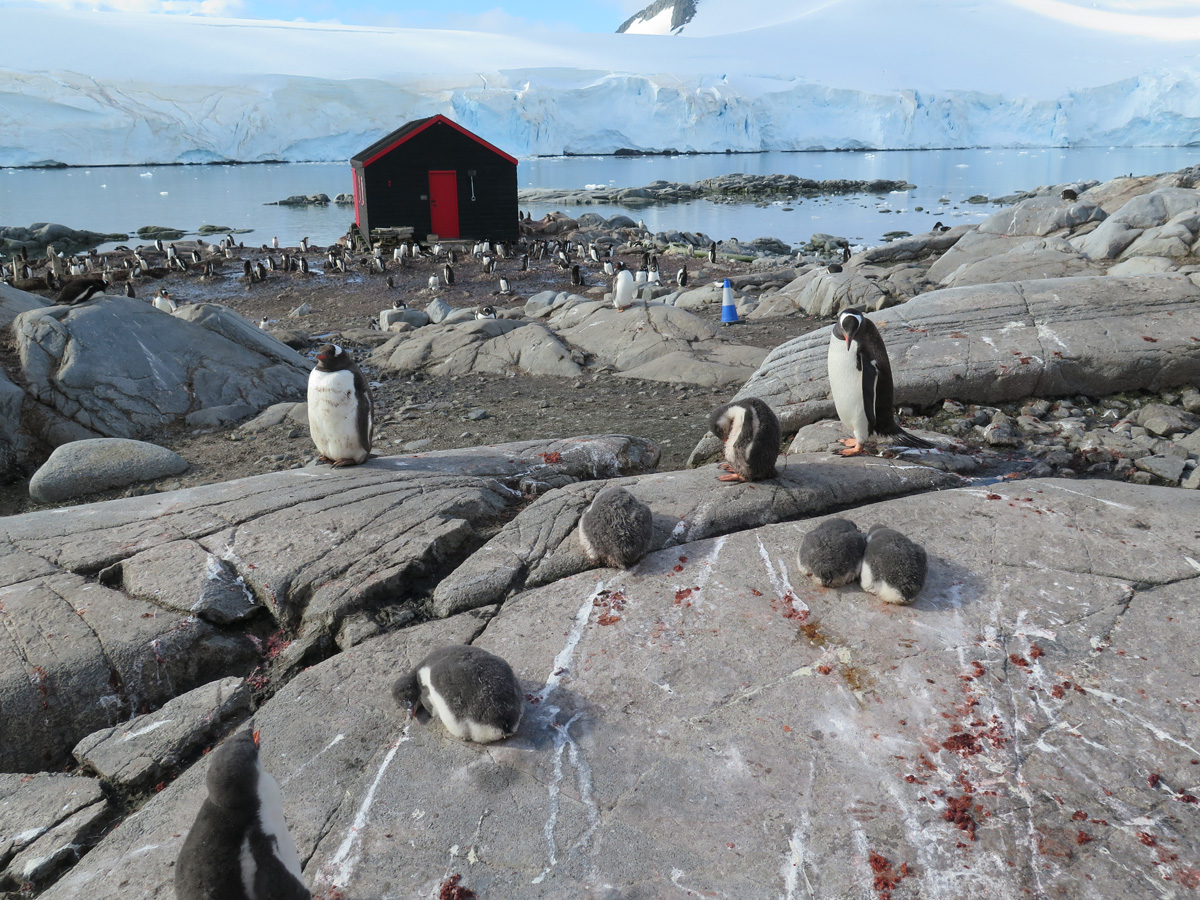 Port Lockroy
