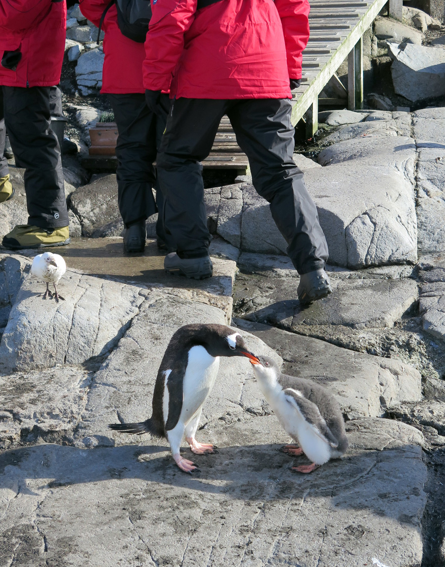 Port Lockroy