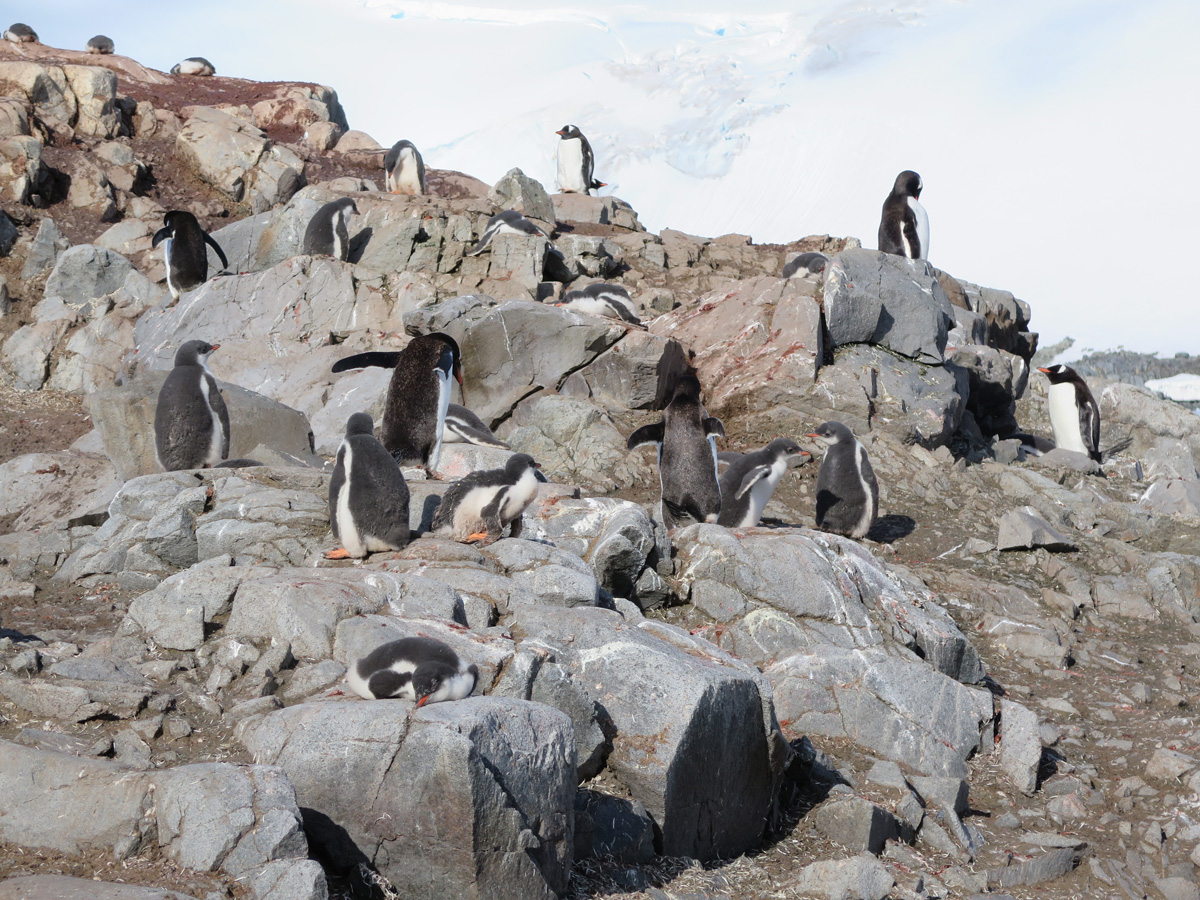 Port Lockroy